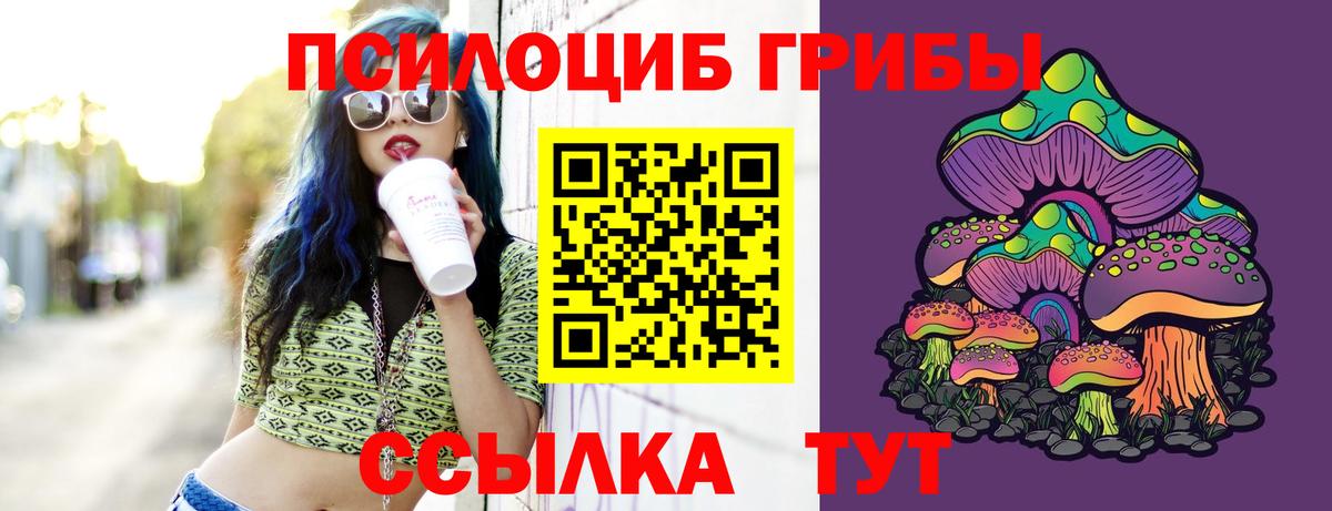 Зеленогорск  Псилоцибиновые грибы Psilocybine cubensis  Вход с VPN 